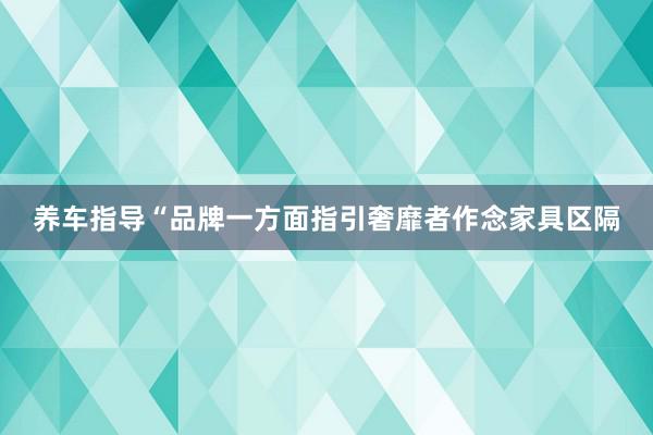 养车指导“品牌一方面指引奢靡者作念家具区隔