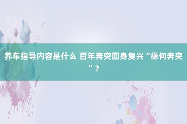 养车指导内容是什么 百年奔突回身复兴“缘何奔突”？