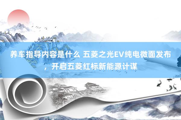 养车指导内容是什么 五菱之光EV纯电微面发布，开启五菱红标新能源计谋