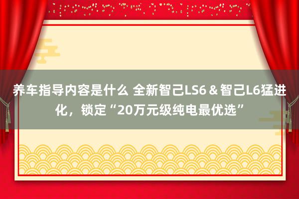 养车指导内容是什么 全新智己LS6＆智己L6猛进化，锁定“20万元级纯电最优选”