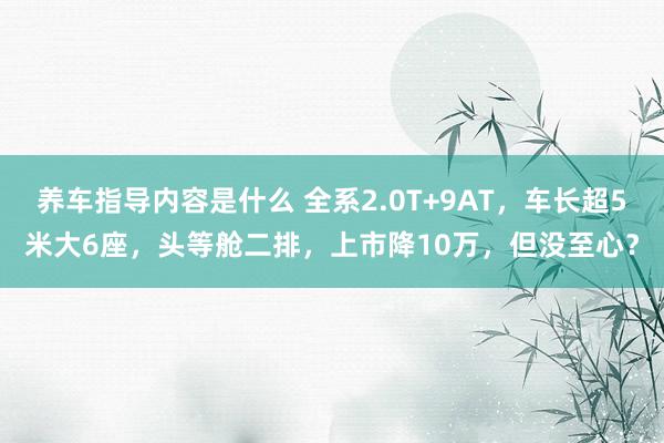 养车指导内容是什么 全系2.0T+9AT，车长超5米大6座，头等舱二排，上市降10万，但没至心？