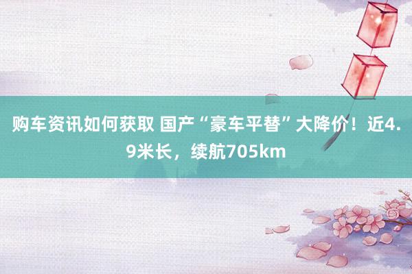 购车资讯如何获取 国产“豪车平替”大降价！近4.9米长，续航705km