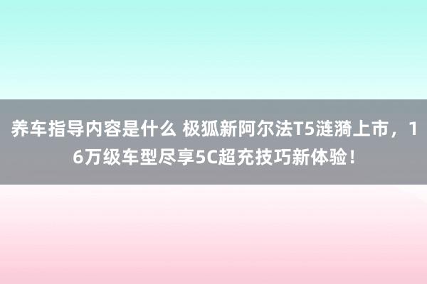 养车指导内容是什么 极狐新阿尔法T5涟漪上市，16万级车型尽享5C超充技巧新体验！