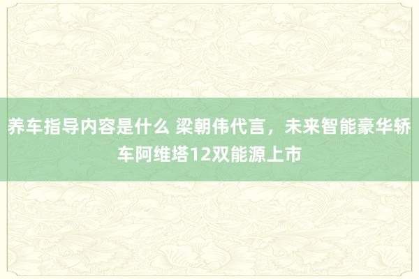 养车指导内容是什么 梁朝伟代言，未来智能豪华轿车阿维塔12双能源上市