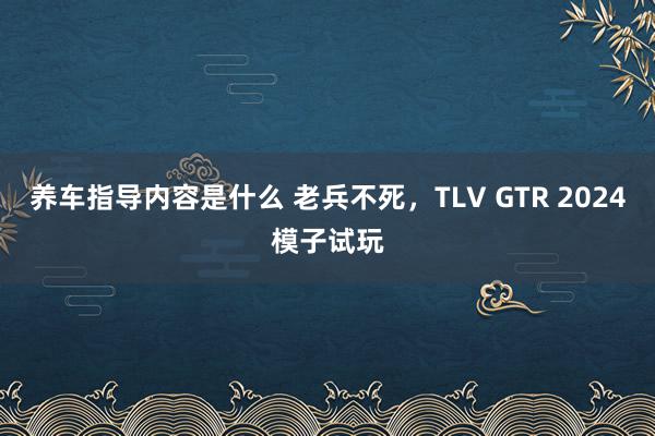 养车指导内容是什么 老兵不死，TLV GTR 2024模子试玩