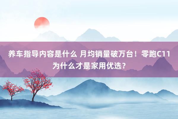 养车指导内容是什么 月均销量破万台！零跑C11为什么才是家用优选？