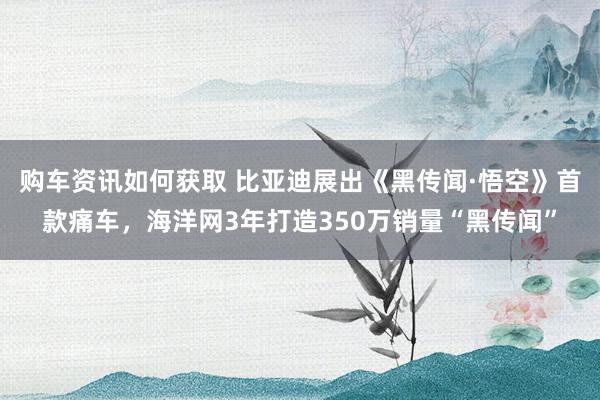 购车资讯如何获取 比亚迪展出《黑传闻·悟空》首款痛车，海洋网3年打造350万销量“黑传闻”