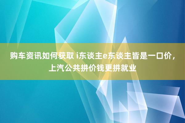 购车资讯如何获取 i东谈主e东谈主皆是一口价，上汽公共拼价钱更拼就业