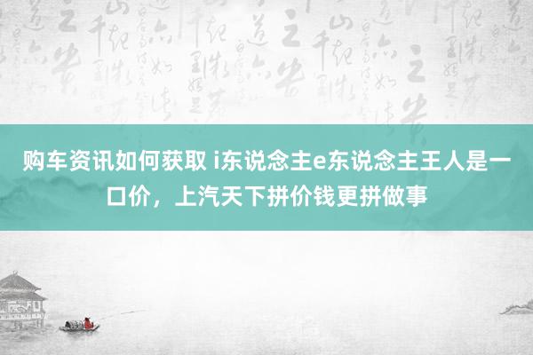 购车资讯如何获取 i东说念主e东说念主王人是一口价，上汽天下拼价钱更拼做事