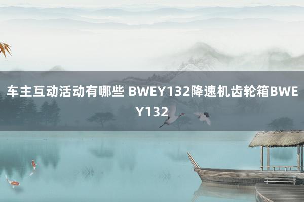 车主互动活动有哪些 BWEY132降速机齿轮箱BWEY132