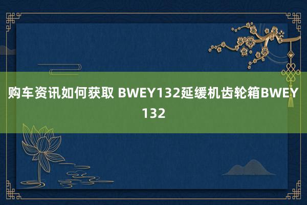 购车资讯如何获取 BWEY132延缓机齿轮箱BWEY132