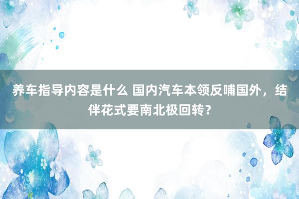 养车指导内容是什么 国内汽车本领反哺国外，结伴花式要南北极回转？