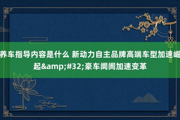 养车指导内容是什么 新动力自主品牌高端车型加速崛起&#32;豪车阛阓加速变革