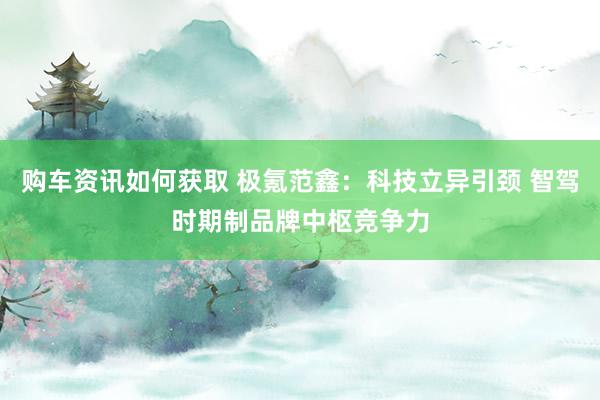 购车资讯如何获取 极氪范鑫：科技立异引颈 智驾时期制品牌中枢竞争力