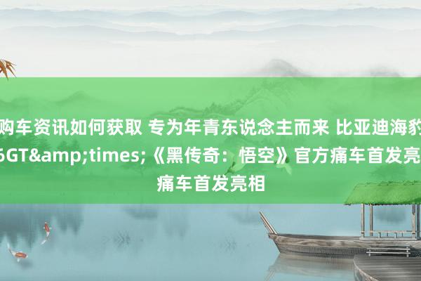 购车资讯如何获取 专为年青东说念主而来 比亚迪海豹06GT&times;《黑传奇：悟空》官方痛车首发亮相