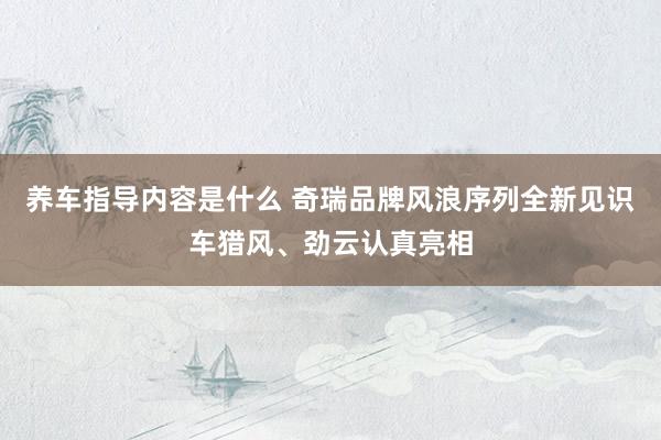 养车指导内容是什么 奇瑞品牌风浪序列全新见识车猎风、劲云认真亮相