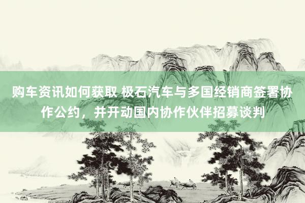 购车资讯如何获取 极石汽车与多国经销商签署协作公约，并开动国内协作伙伴招募谈判