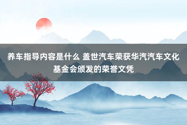 养车指导内容是什么 盖世汽车荣获华汽汽车文化基金会颁发的荣誉文凭