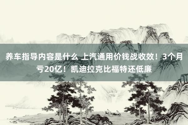 养车指导内容是什么 上汽通用价钱战收效！3个月亏20亿！凯迪拉克比福特还低廉