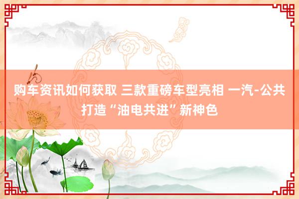 购车资讯如何获取 三款重磅车型亮相 一汽-公共打造“油电共进”新神色