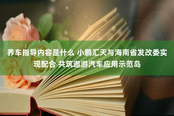 养车指导内容是什么 小鹏汇天与海南省发改委实现配合 共筑遨游汽车应用示范岛