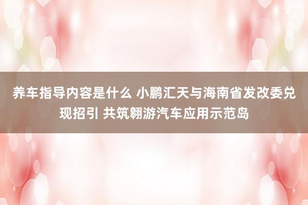 养车指导内容是什么 小鹏汇天与海南省发改委兑现招引 共筑翱游汽车应用示范岛