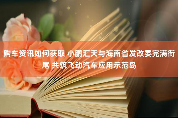 购车资讯如何获取 小鹏汇天与海南省发改委完满衔尾 共筑飞动汽车应用示范岛