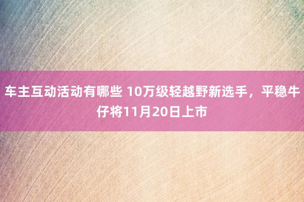 车主互动活动有哪些 10万级轻越野新选手，平稳牛仔将11月20日上市