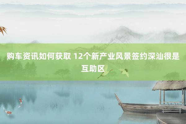 购车资讯如何获取 12个新产业风景签约深汕很是互助区