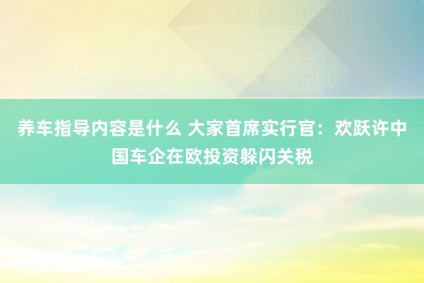 养车指导内容是什么 大家首席实行官：欢跃许中国车企在欧投资躲闪关税