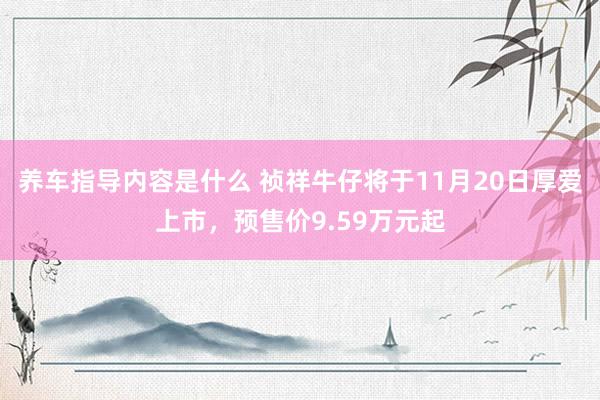 养车指导内容是什么 祯祥牛仔将于11月20日厚爱上市，预售价9.59万元起