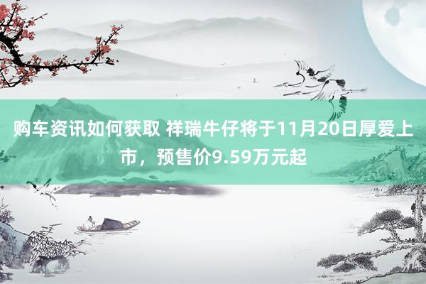 购车资讯如何获取 祥瑞牛仔将于11月20日厚爱上市，预售价9.59万元起