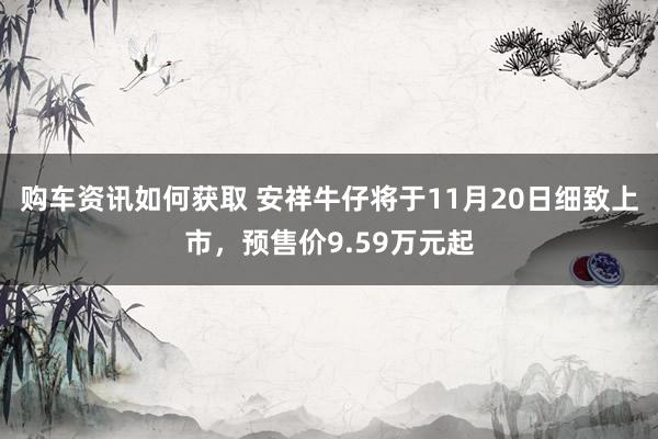 购车资讯如何获取 安祥牛仔将于11月20日细致上市，预售价9.59万元起