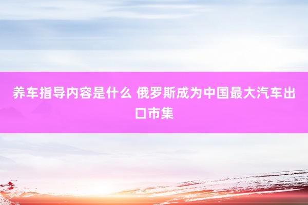 养车指导内容是什么 俄罗斯成为中国最大汽车出口市集